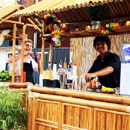 Cocktails Alphen aan den Rijn  (NL) Zomerse Cocktailbar + 100 Cocktails