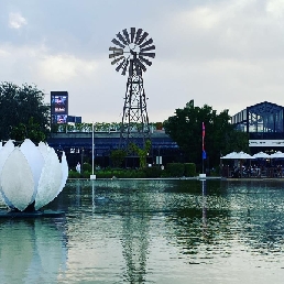 Chanson d'eau - Les Fleurs de L'eau