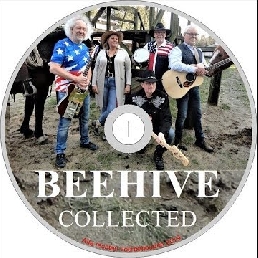 Band Nederland  (NL) BEEHIVE Country Rock'n Roll band