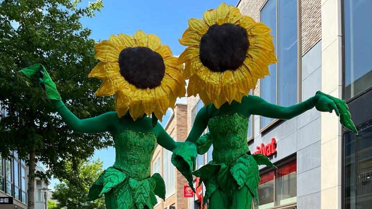 Dancing Sunflowers on stilts