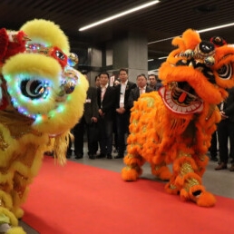 Event show Rotterdam  (NL) Chinese Lion Dance